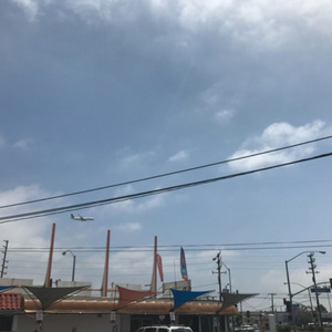 新婚H圆房～H嗯啊1V1
